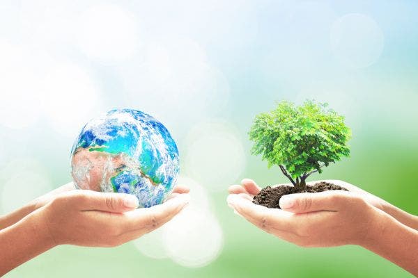 Energy Efficiency Guide