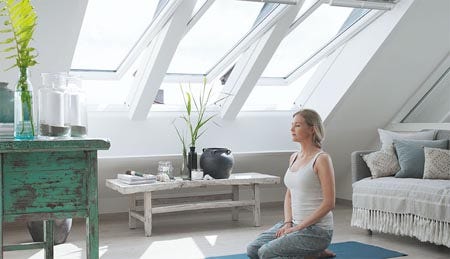 White Velux Roof Windows