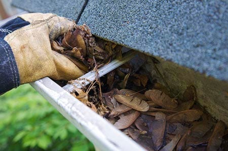Cleaning-Gutters