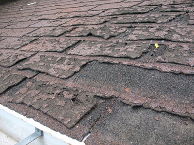 asphalt shingle failure causing a leak