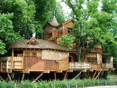 An amazing treehouse that could be used as a home