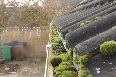 Guttering blocked with moss