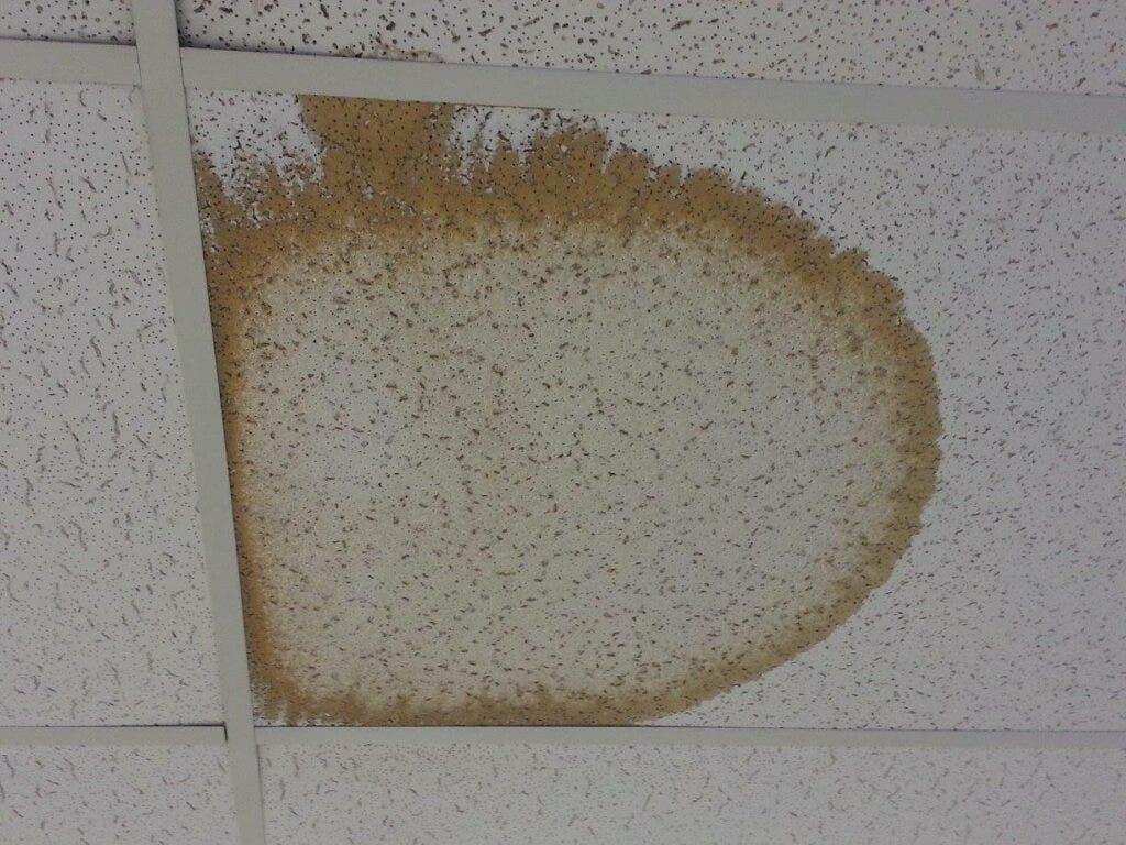 Commercial roof leak