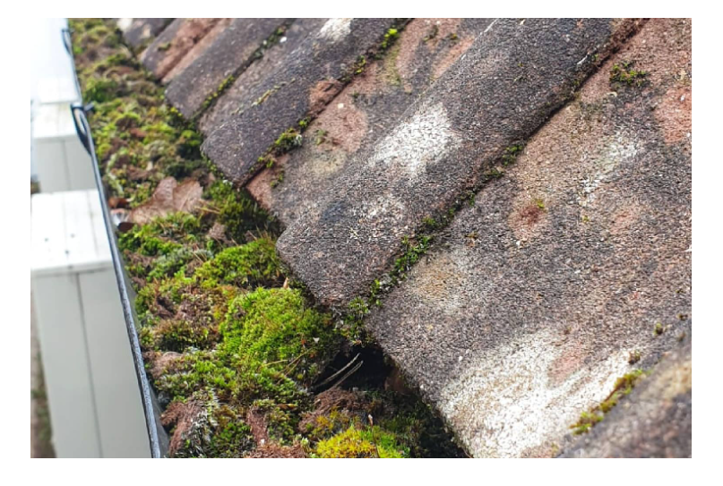 Cleaning Gutter on top of a roof 