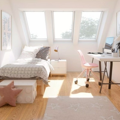 VELUX Pitched and Flat Roof Windows