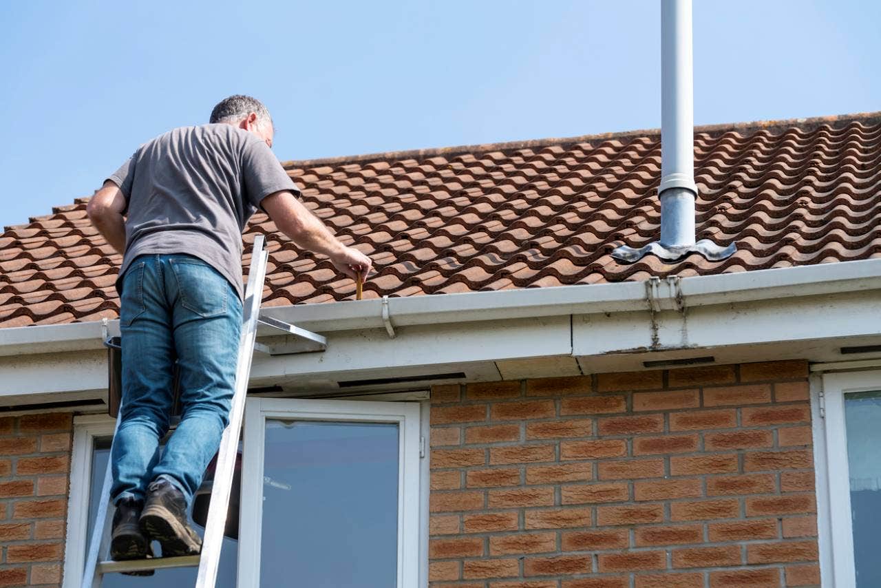 man standing on a ladder inspecting his roof tiles